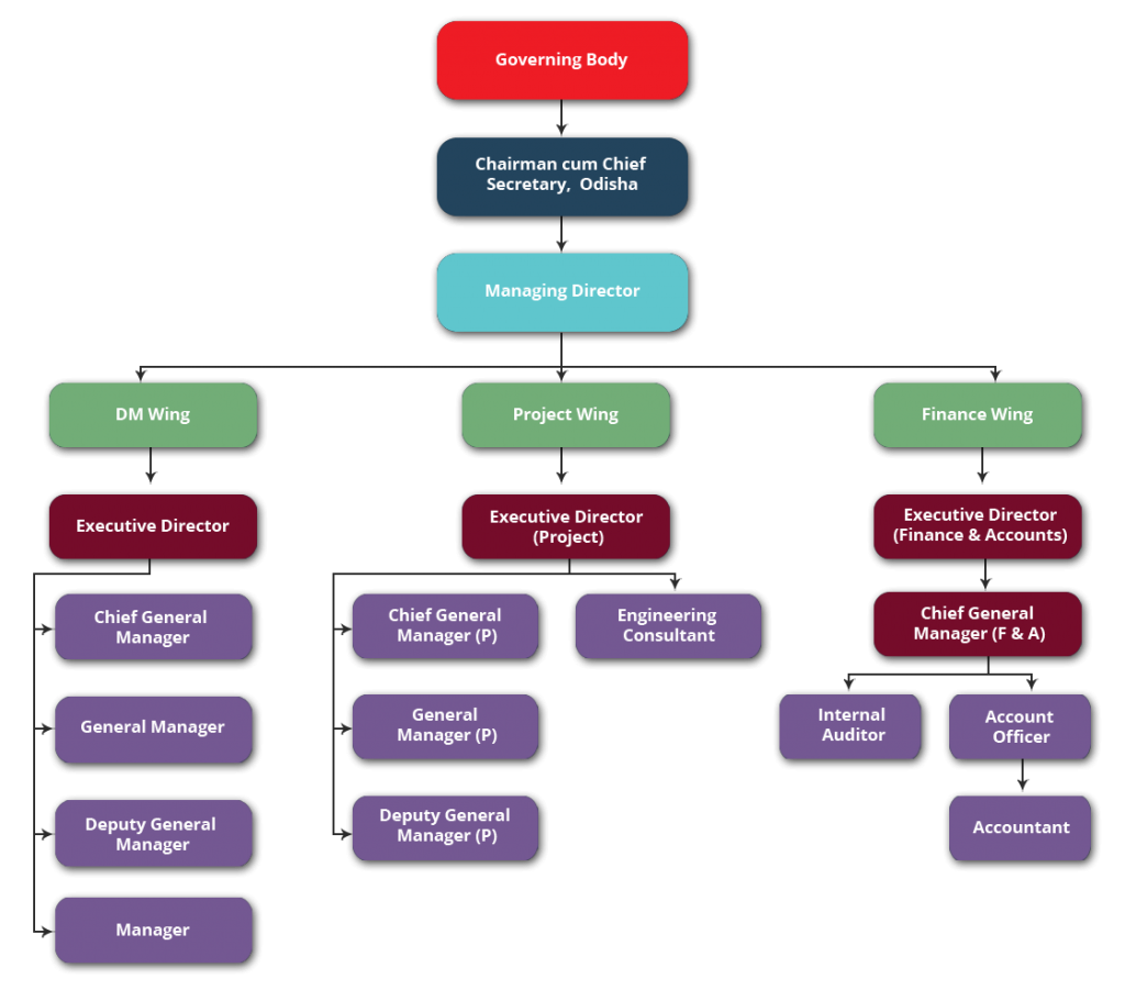 ODISHA STATE DISASTER MANAGEMENT AUTHORITY | Organogram